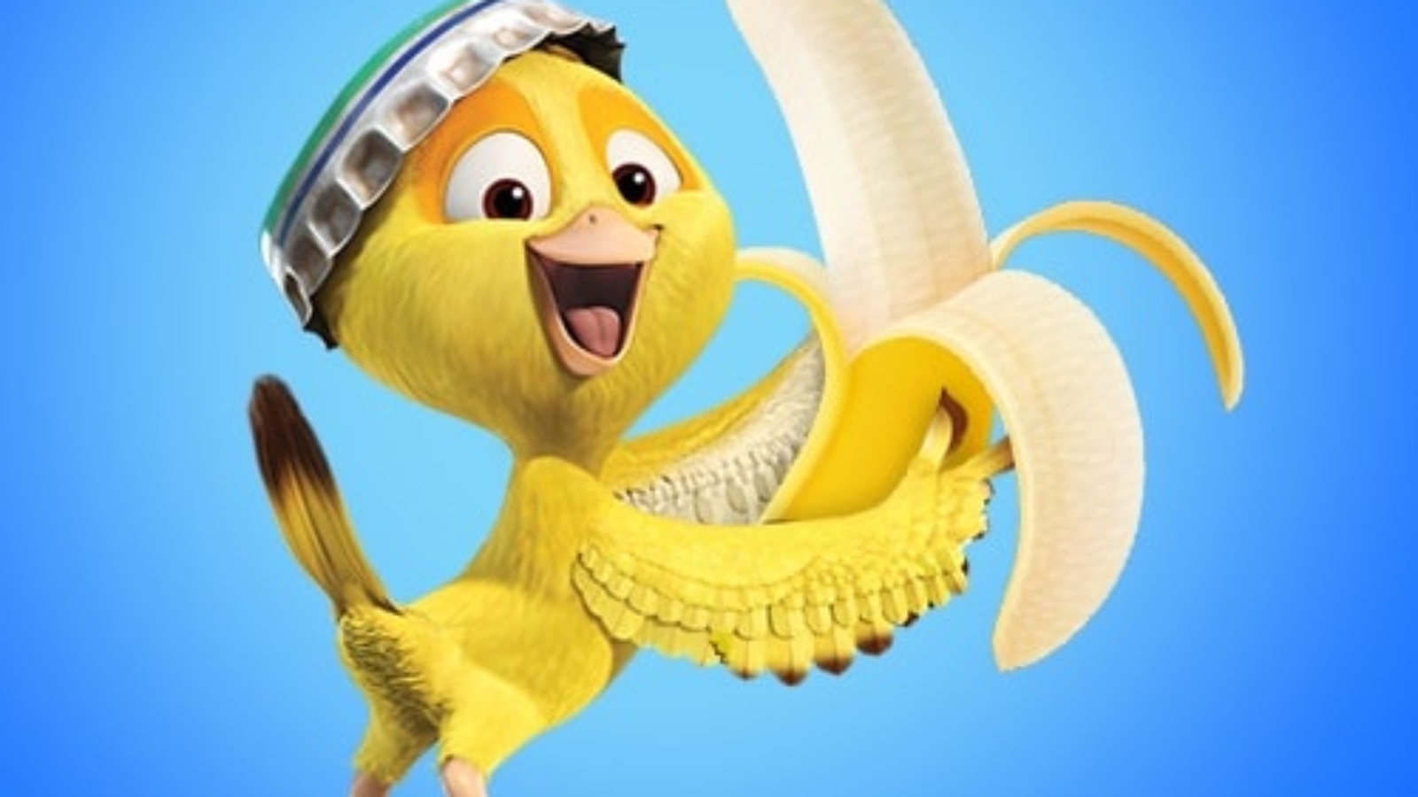 somos_todos_macacos